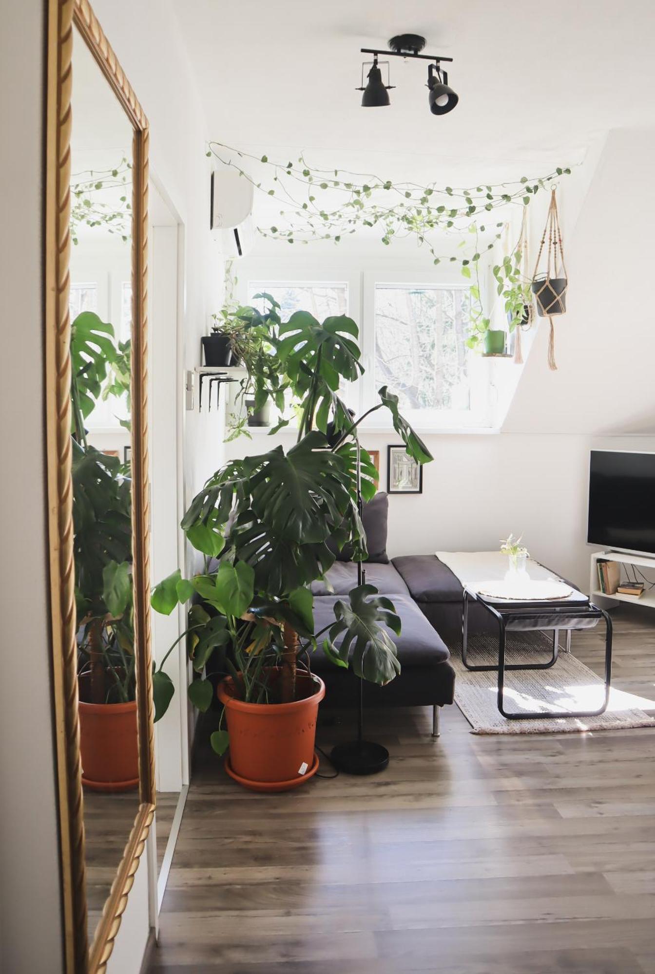 Urban Jungle Apartment - Free Parking Ljubljana Extérieur photo