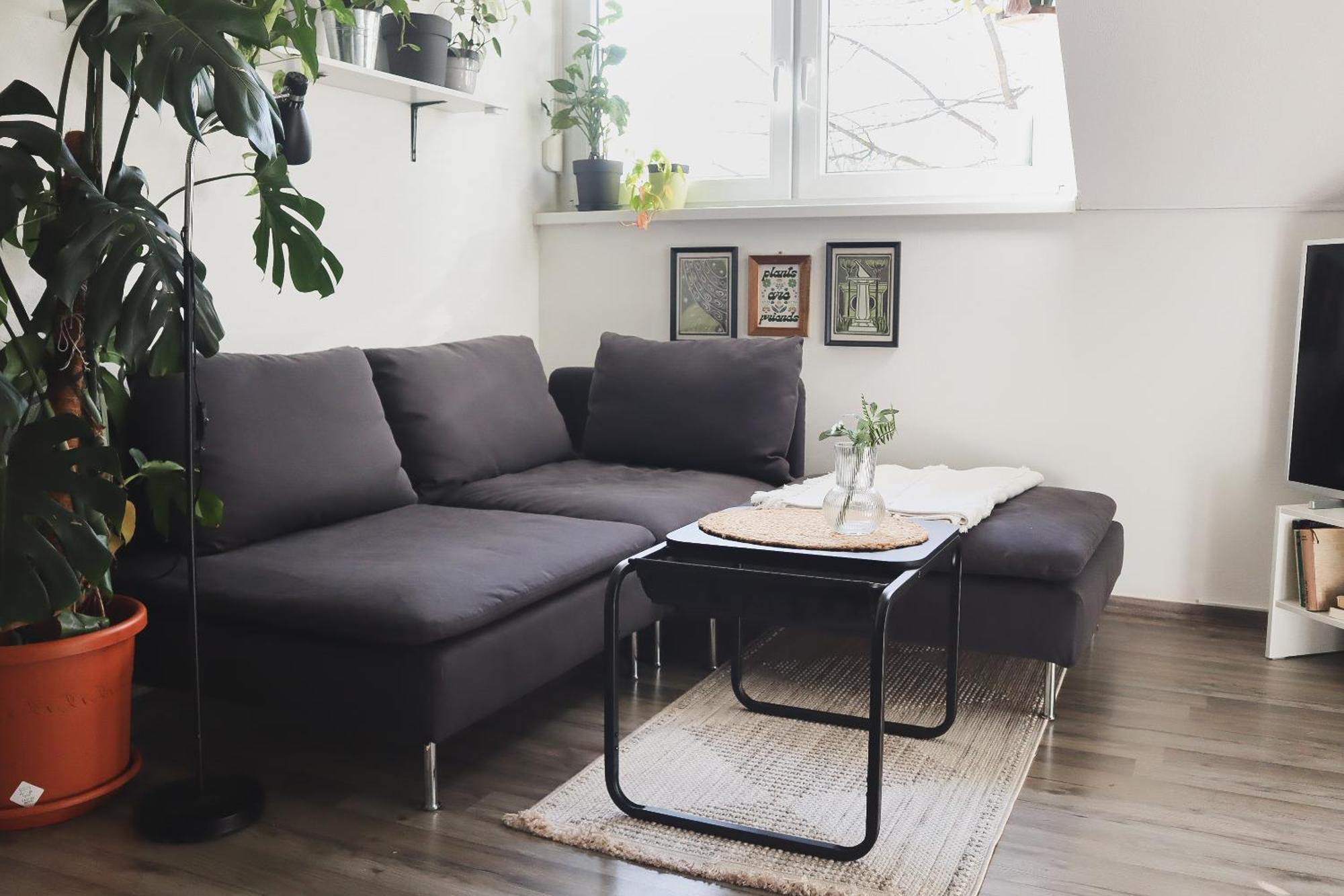 Urban Jungle Apartment - Free Parking Ljubljana Extérieur photo